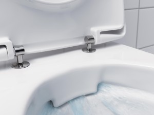 Design Award voor wc zonder rand
